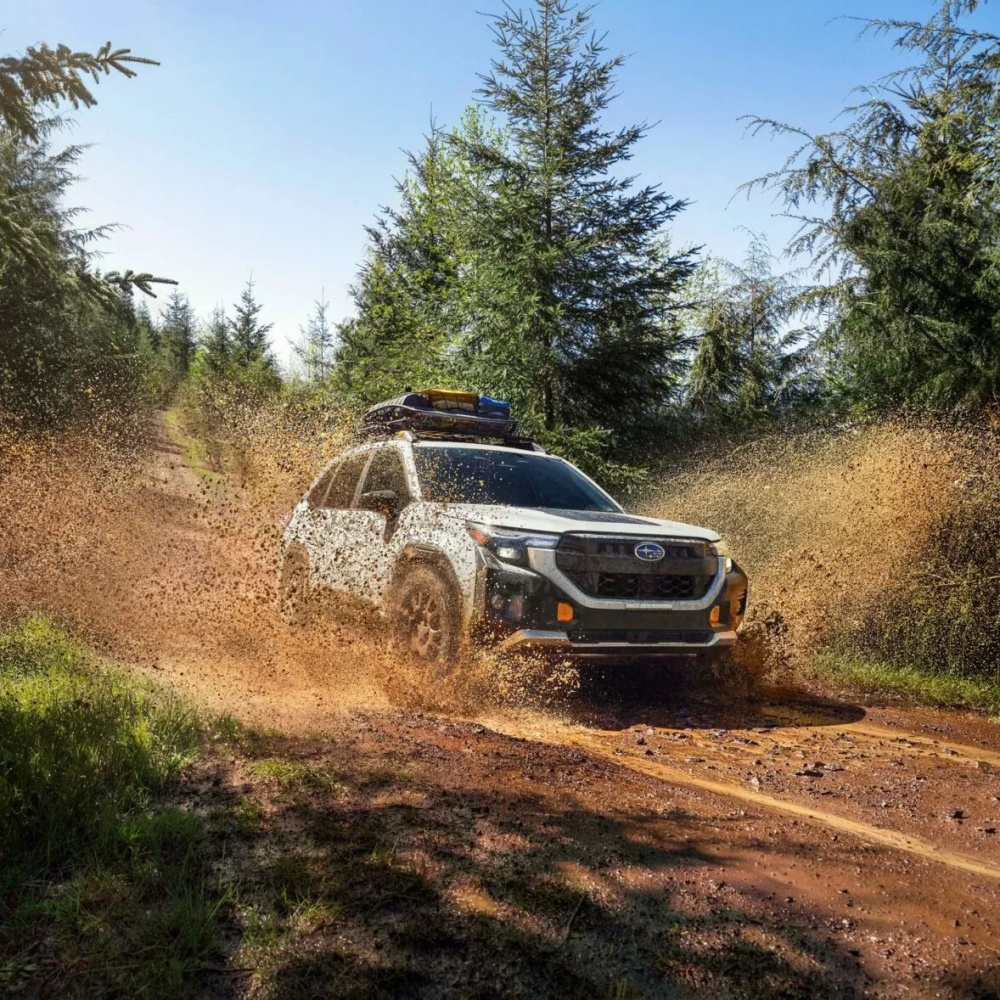 Subaru Forester Wilderness off road. 